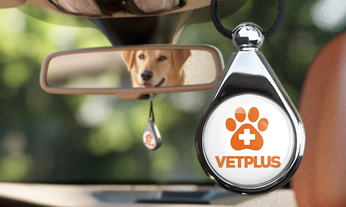 Brändätty autonilmaisin logolla, asennettuna taustapeiliin