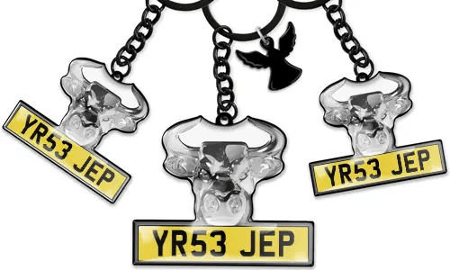 Bull Keychain Licence Plate