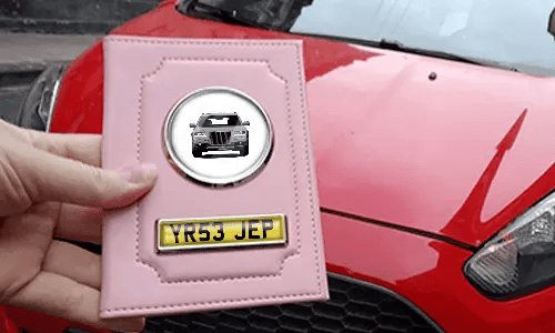 Pink Car Documents Holder