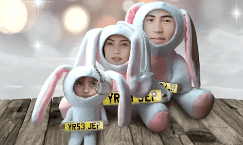 Car Photo Stuff Toy Bunny