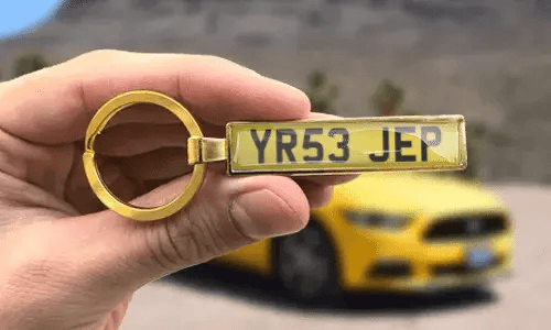 Llavero dorado personalizado muestra números de placa de matrícula grabados