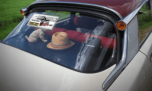 gallery-photo-sticker-car-phrases-1 gallery-photo-sticker-car-phrases-1